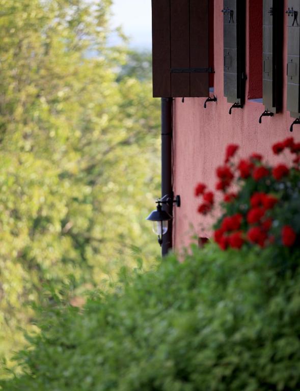 Agriturismo Casa Rossa Ai Colli Ragogna Exteriér fotografie