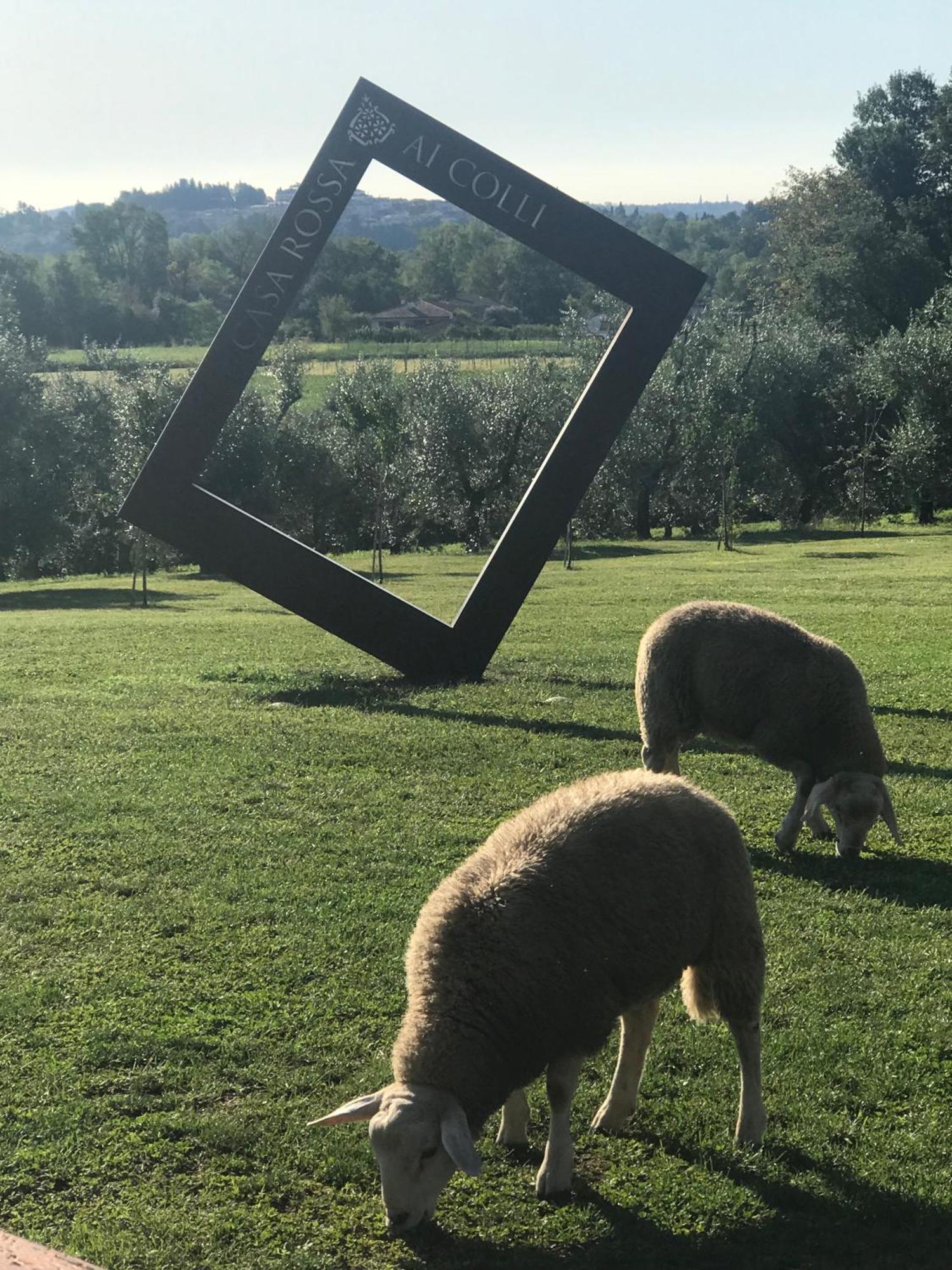 Agriturismo Casa Rossa Ai Colli Ragogna Exteriér fotografie